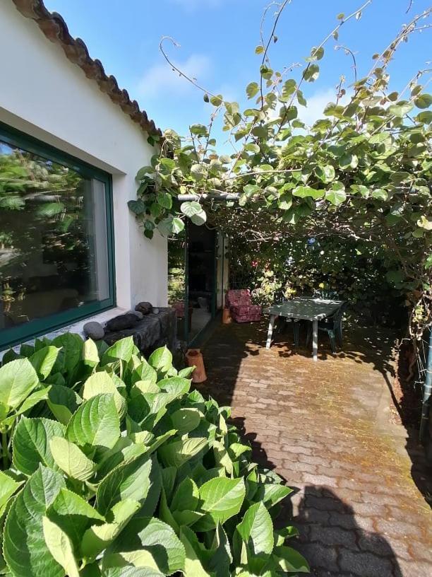 Quinta Do Areeiro Διαμέρισμα Horta  Εξωτερικό φωτογραφία